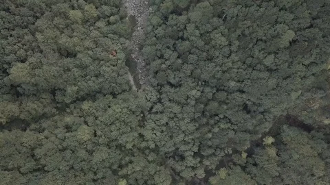 Flight over waterfall and forest 4k ungraded Stock Footage 105849625