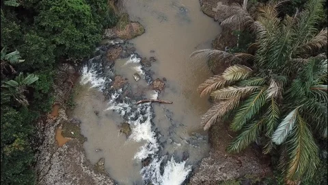 Flight over waterfall in Mauritius Stock Footage 113476735
