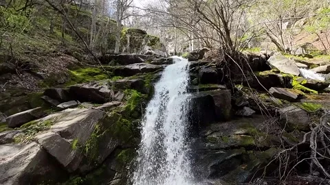 Flight over waterfall, river, around trees, stones,branches Stock Footage 273143865