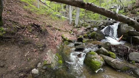 Flight over waterfall, river, around trees Stock Footage 273202789