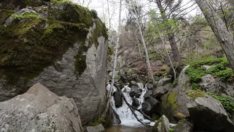 Flight over waterfall, river, around trees, stones Stock Footage 273202793