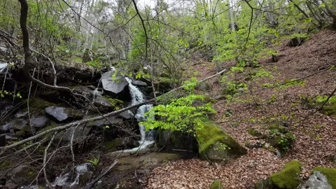 Flight over waterfall, river, around trees Stock Footage 273203178