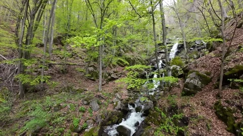 Flight over waterfall, river, around trees Stock Footage 273203255