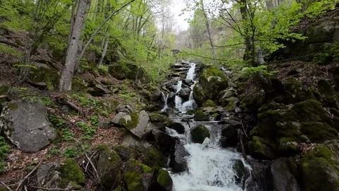 Flight over waterfall, river, around trees, stones,branches Stock Footage 273203275