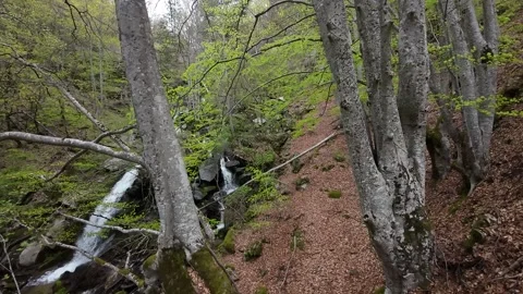 Flight over waterfall, river, around trees, stones Stock Footage 273203290