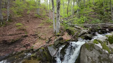 Flight over waterfall, river, around trees, stones Stock Footage 273203338