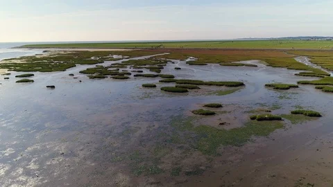 Flight over wetlands, passed towards cyclists and walking people. Aerial shot Stock Footage 103265779