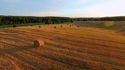 Flight over the wheat field and sheaves of hay in sunset Stock Footage 104955920