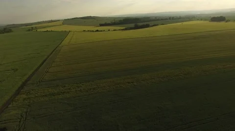 Flight over the wheat field in sunset Stock Footage 64053994