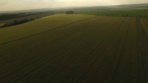 Flight over the wheat field in sunset Stock Footage 64054095