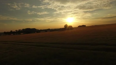 Flight over the wheat field in sunset Stock Footage 64054162