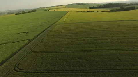 Flight over the wheat field in sunset Stock Footage 64054371