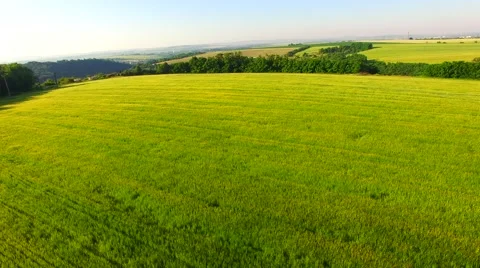 Flight over the wheat field in sunset Stock Footage 64463139
