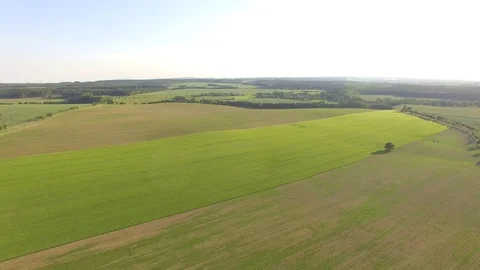 Flight over the wheat field in sunset Stock Footage 76638031