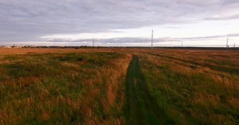Flight over the wheat field in sunset 動画素材 79773096