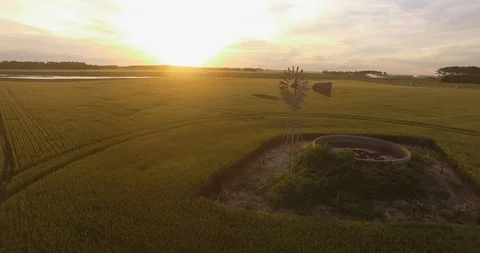Flight over wheat field at sunset 4 動画素材 116180969