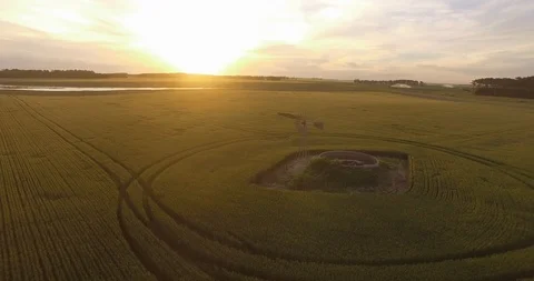 Flight over wheat field at sunset 6 動画素材 116182567