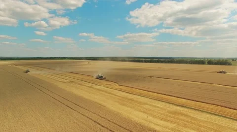 Flight over wheat rye field, harvester aerial 4k video. Rural combine crop grain Stock Footage 67316128
