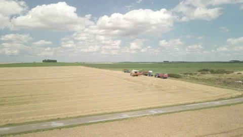 Flight Over Wheat Rye Field, Harvester Aerial 4K Video. Rural Combine Crop Grain Stock Footage 212403946