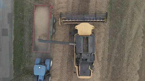 Flight Over Wheat Rye Field, Harvester Aerial 4K Video. Rural Combine Crop Grain Stock Footage 212404705