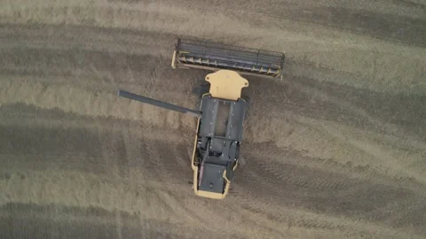 Flight Over Wheat Rye Field, Harvester Aerial 4K Video. Rural Combine Crop Grain Stock Footage 212404920