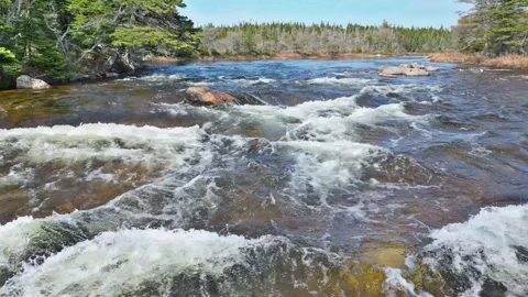 Flight Over Whitewater River Rapids Stock Footage 253265297