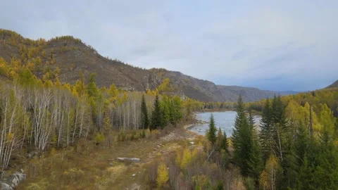 Flight over a wide mountain range, beautiful mountains and a beautiful autumn Video stock 147241628