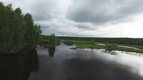 Flight over a wild lake deep in the forest, first person view, fpv Stock Footage 280851386