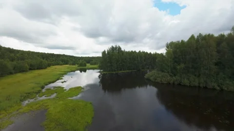 Flight over a wild lake deep in the forest, first person view, fpv Stock Footage 280851396