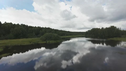 Flight over a wild lake deep in the forest, first person view, fpv Stock Footage 280851412