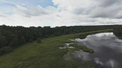 Flight over a wild lake deep in the forest, first person view, fpv Stock Footage 280851414