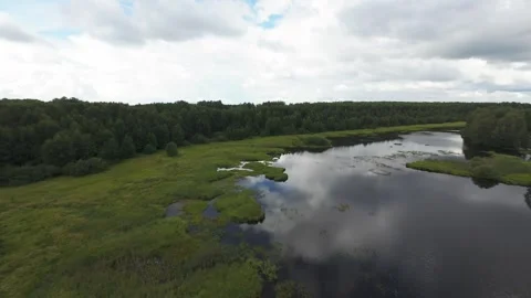 Flight over a wild lake deep in the forest, first person view, fpv Stock Footage 280851423