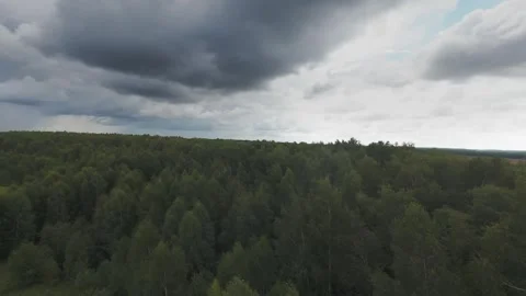 Flight over a wild lake deep in the forest, first person view, fpv Stock Footage 280851424