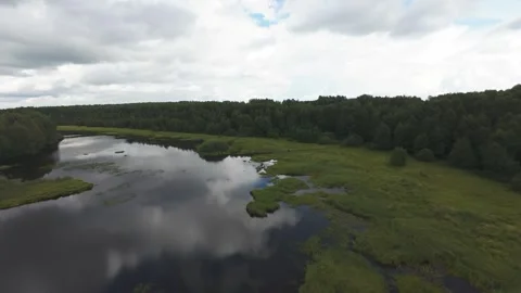 Flight over a wild lake deep in the forest, first person view, fpv Stock Footage 280851439