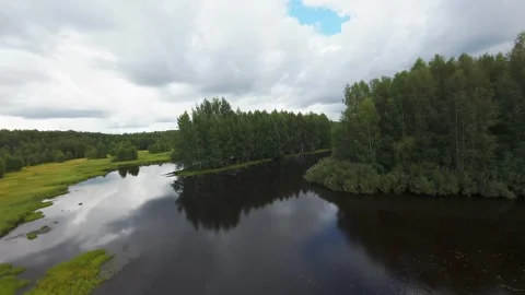 Flight over a wild lake deep in the forest, first person view, fpv Stock Footage 280851441