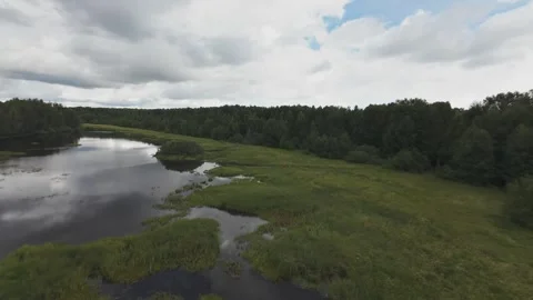 Flight over a wild lake deep in the forest, first person view, fpv Stock Footage 280851444