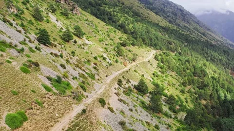 Flight over winding dirt road in a deep green gorge Stock Footage 213626228