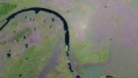 Flight over a winding river in a marshland covered with reeds Stock Footage 83724594