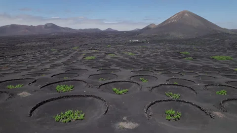 Flight over Wine valley of La Geria, Lanzarote Stock Footage 195947477