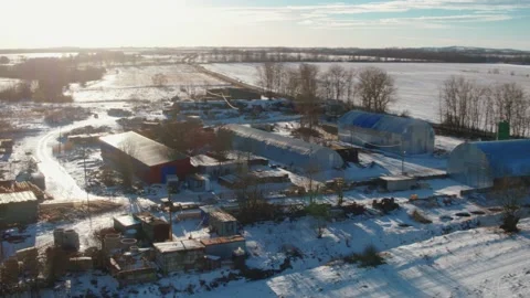 Flight over winter fields and forests in the suburbs of St. Petersburg 48 Stock Footage 136060572