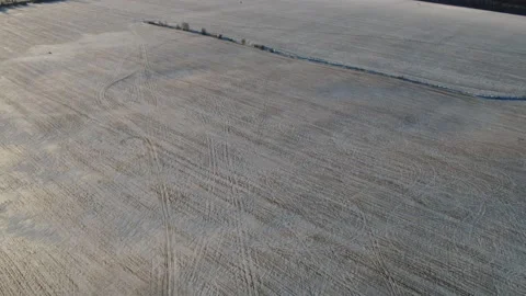 Flight over winter fields and forests in the suburbs of St. Petersburg 43 Stock Footage 136060877