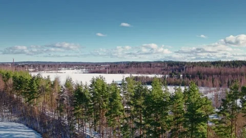 Flight over winter fields and forests in the suburbs of St. Petersburg 7 Stock Footage 136060955