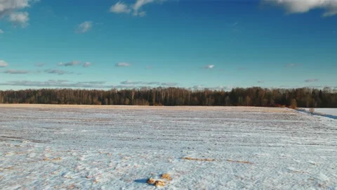 Flight over winter fields and forests in the suburbs of St. Petersburg 30 Stock Footage 136061495