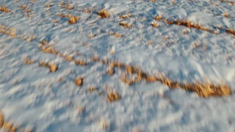 Flight over winter fields and forests in the suburbs of St. Petersburg 46 Stock Footage 136061555