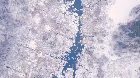 Flight over winter forest and wild river. 4k aerial.  Stock Footage 99992537