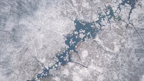 Flight over winter forest and wild river. 4k aerial.  Vídeos de archivo 99993002
