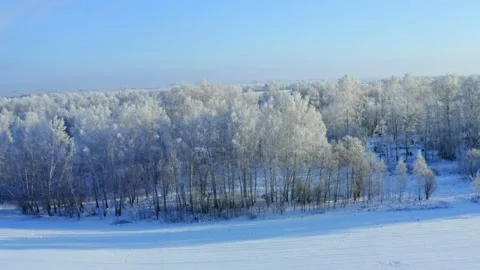 Flight over the winter forest. Below are snow-covered fields and forests. Stock Footage 144662554