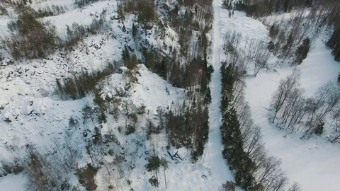 Flight over the winter forest bright day Stock Footage 92859698