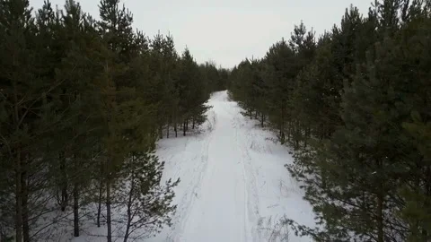 Flight over the winter forest Stock Footage 86253432
