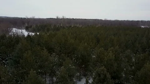 Flight over the winter forest Stock Footage 86254055
